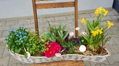 Outdoor-Pflanzkorb: Frühlingsreigen