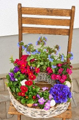Outdoor-Pflanzkranz: Frühlingsgruß