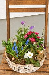 Trauer-Pflanzkranz: Kleiner Frühling