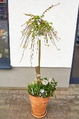 Outdoor-Pflanzkübel: Frühlingsträume