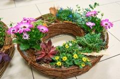 Outdoor-Pflanzkranz: Sommerpracht